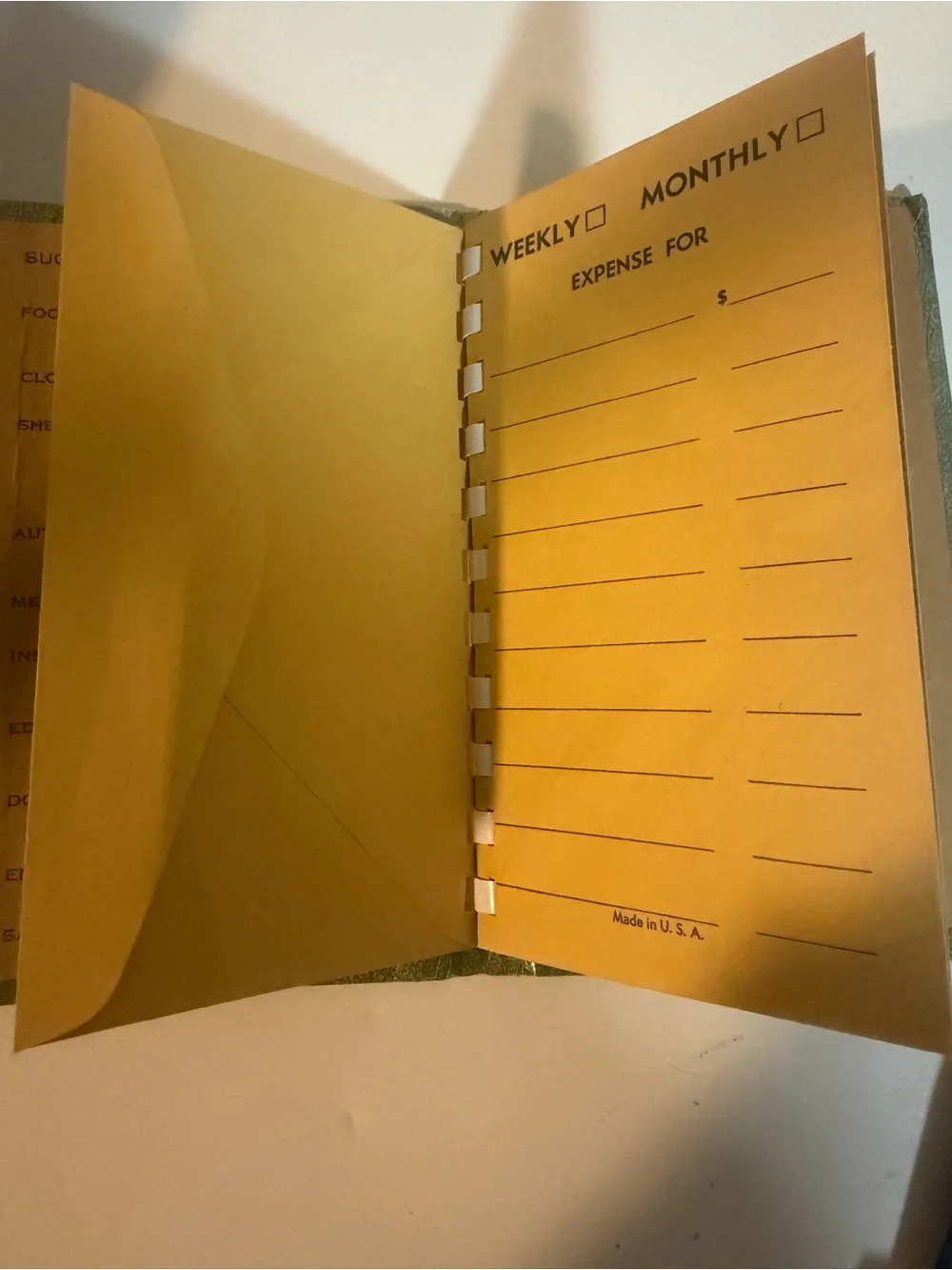 Vintage Green Budget Memorizer with Gold Accents